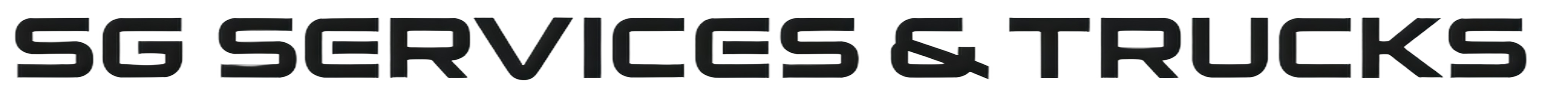  SG Service icona
